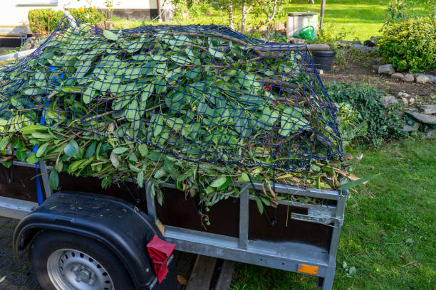 El Cerrito, CA Junk Removal Services Company